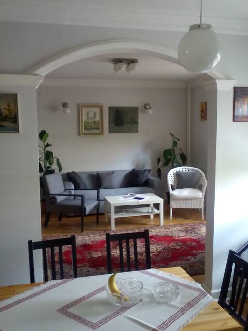 Living room with pull out sofa