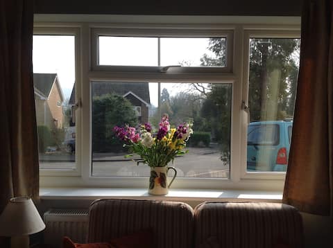 Successful Airbnb property: Cheltenham Studio Apartment in Charlton Kings