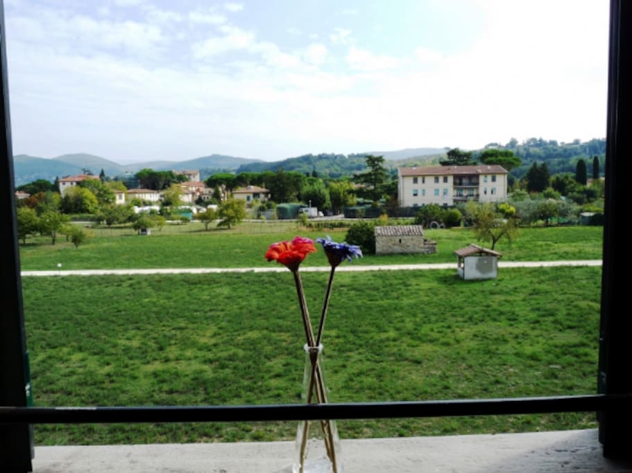 The view of the outside: the green meadowland