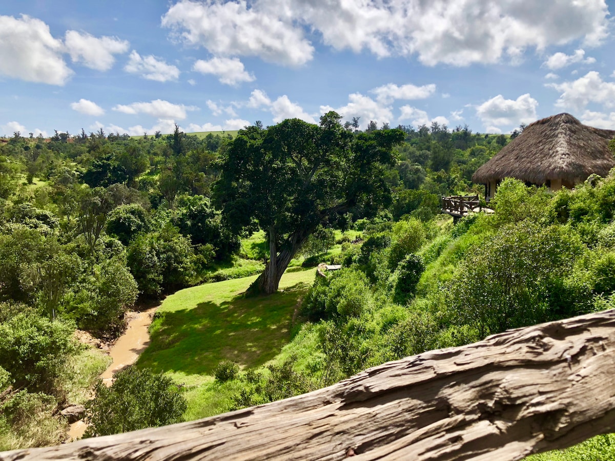 A panoramic view captures the lush greenery surrounding Villa Gorilla. A large tree stands majestically in the middle of a serene landscape, complemented by the gentle flow of a river. The traditional thatched-roof structure is visible, harmoniously blending with its natural environment.