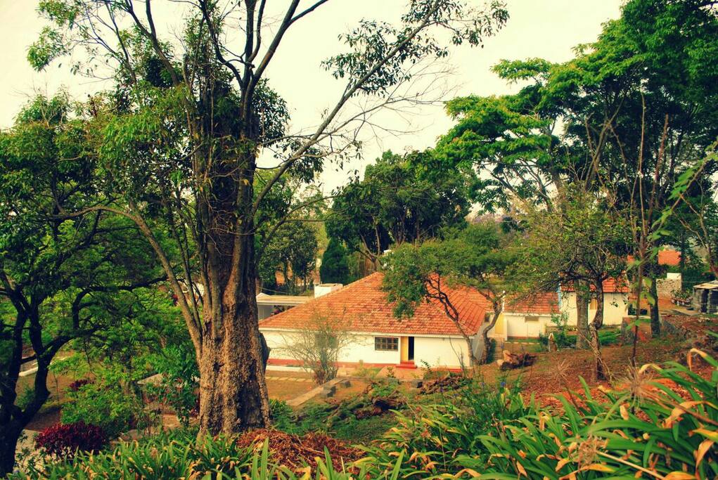 The side view of the bunglow from the hill.