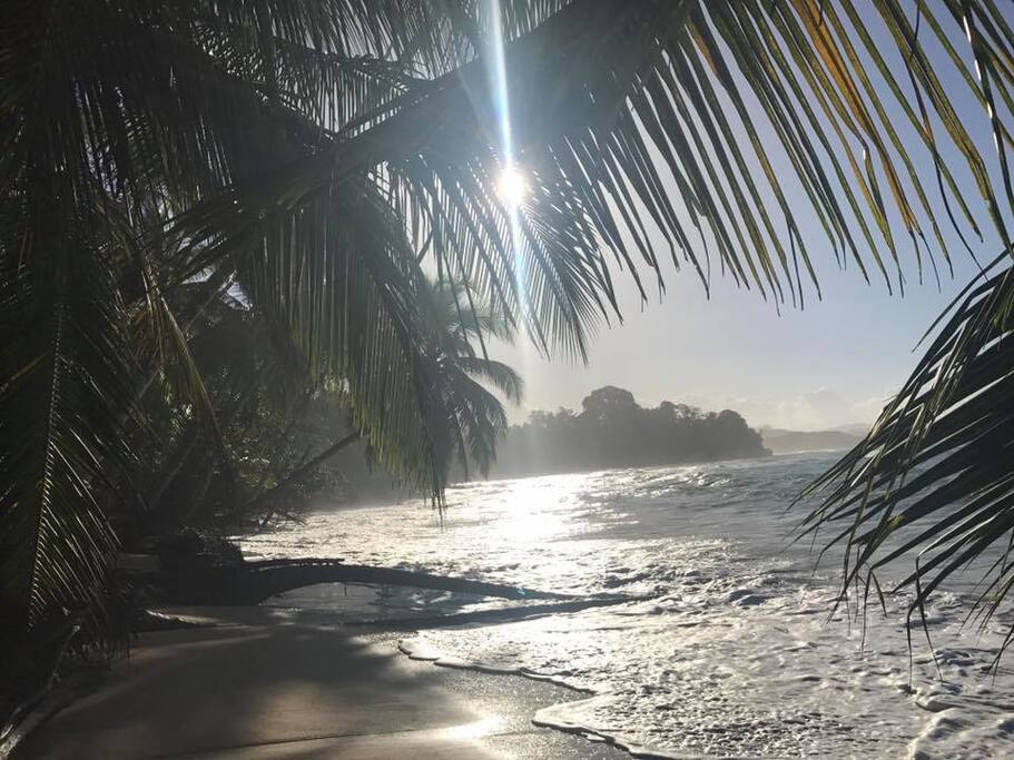 Punta Uva