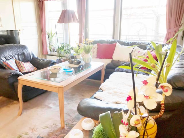 central and nice room.Great location