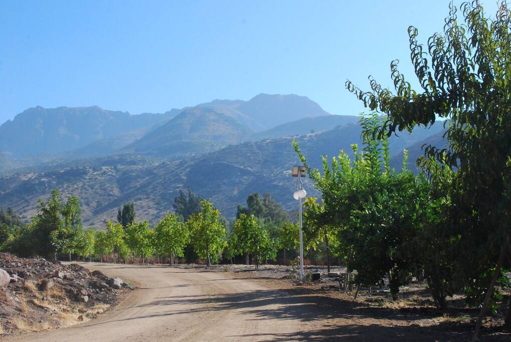 Vista desde la casa