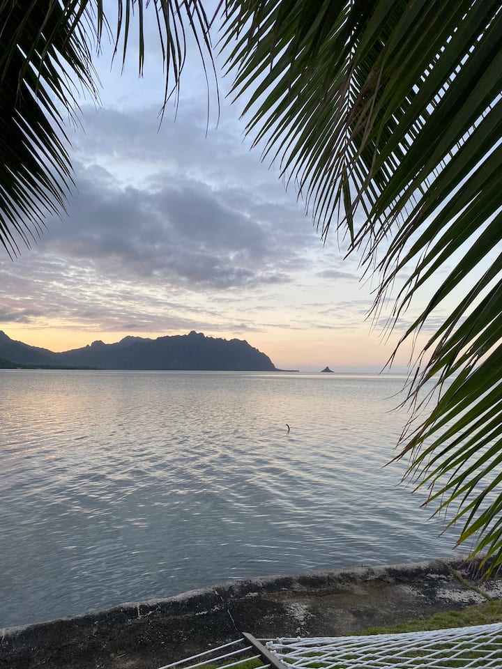 Kaneohe Bay Adventure Discounted rate (NovDec) Guesthouses for Rent