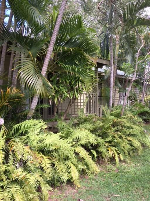 Private home with tropical gardens, front entrance.