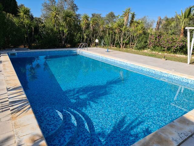 New Villa with swimming-pool,San Vito dei Normanni gallery image 3