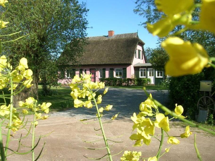 ... Hausansicht