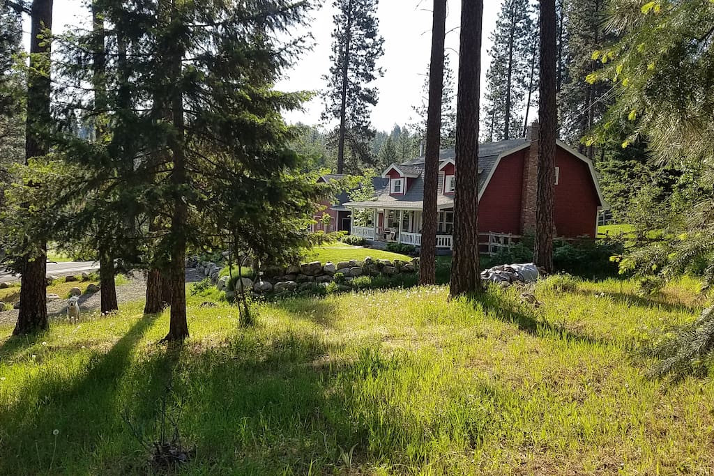 Nestled among towering Ponderosa Pines, Dogwod Barn offers you a place to recharge your life batteries and BREATHE!