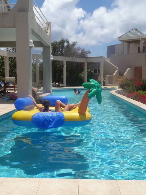 It is playtime in the 56x14 ft pool