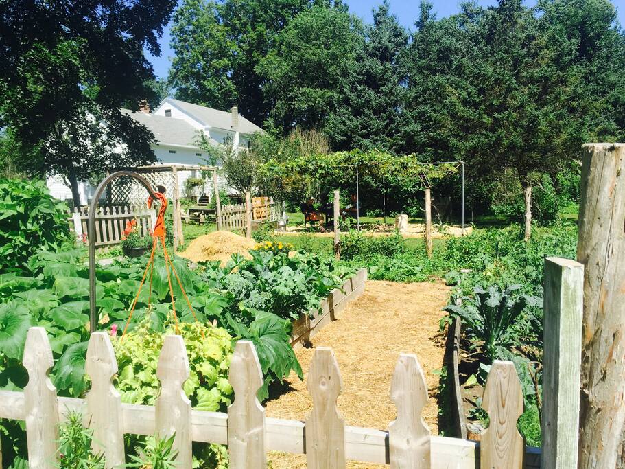 The Garden