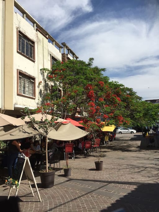 Plazoleta Juarez. El edificio se ubica en este andador