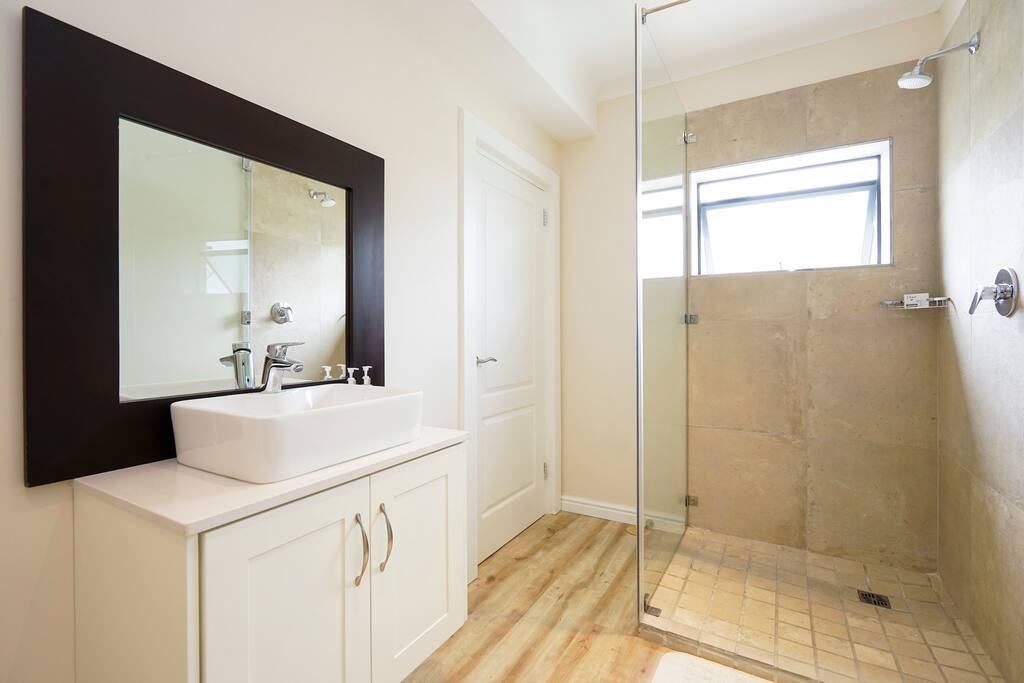 Guest suite bathroom - shower