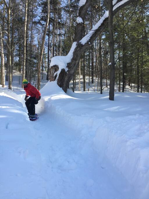 Planche à neige dans la glissade
