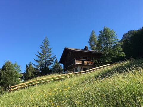 Mountain Chalet in Liechtenstein