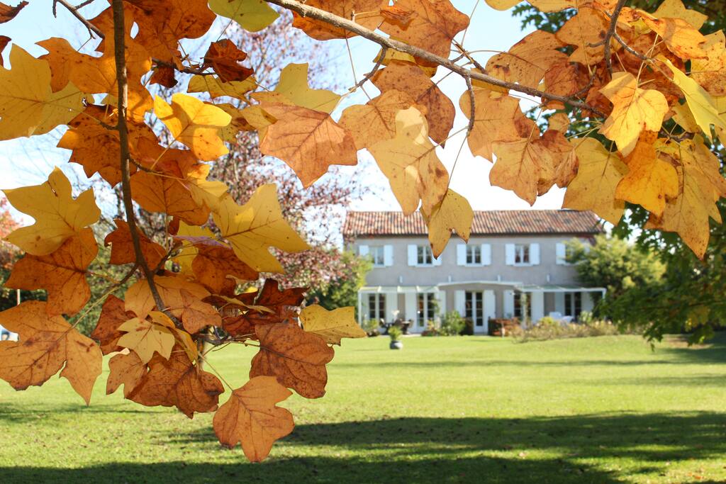 Facciata interna della casa dal lato del giardino