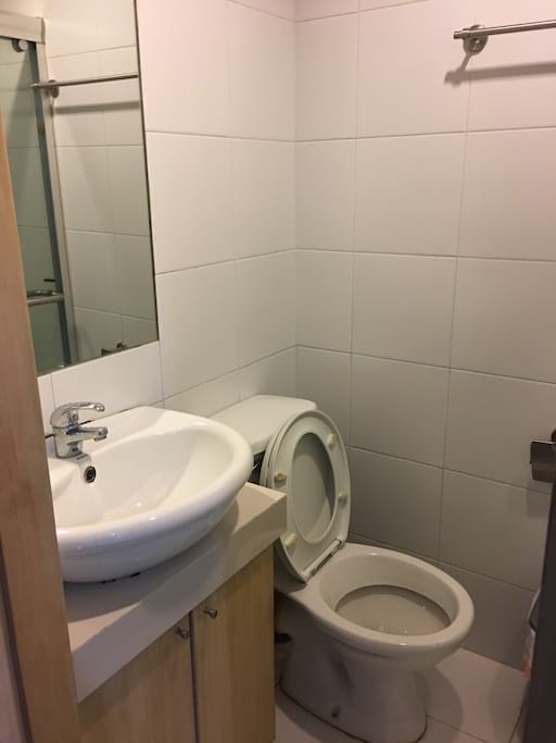 Toilet and sink. Cabinet contains tissue, bucket and deeper.