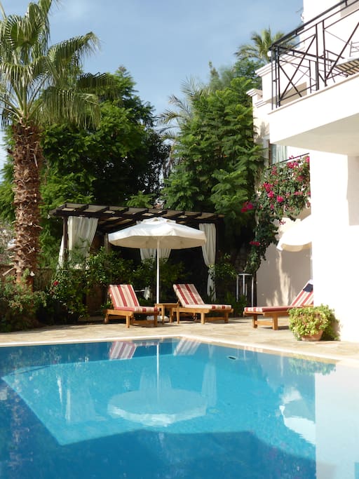 Pool with plenty of space for sunbathing