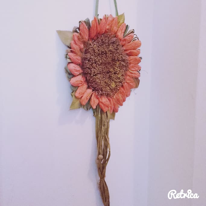 Il girasole di Lorella