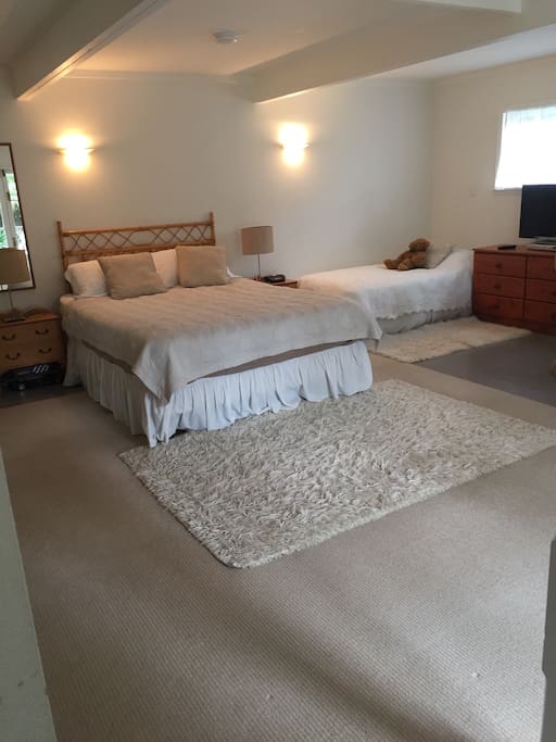 Downstairs large open plan garden studio with Queen bed, single bed , ensuite , kitchenette and dining area and arm chairs and TV. This area opens to a courtyard directly onto the Pool . There is also another private side patio with French doors to capture the late afternoon sun.
