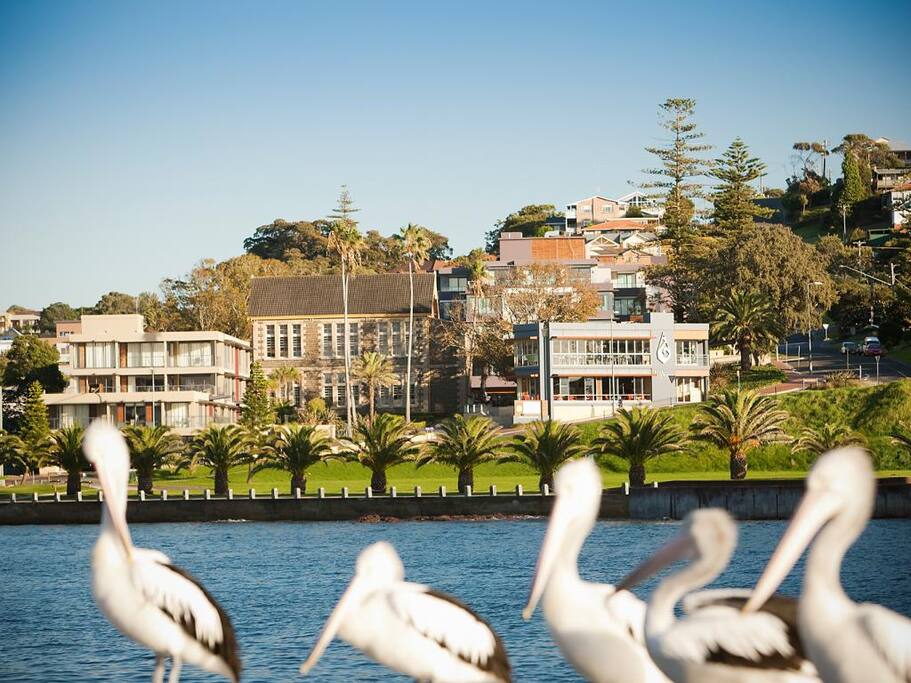 Beautiful Kiama Harbour