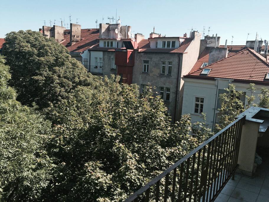 Windows look onto the quiet wooded castle hill