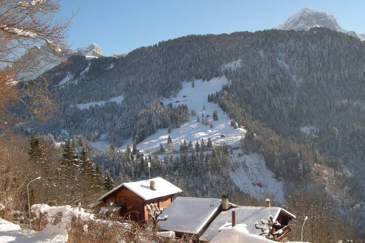 Appartement spacieux et lumineux gallery image 3