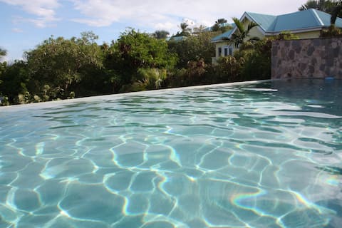 Stunning St Kitts Villa onthe ocean