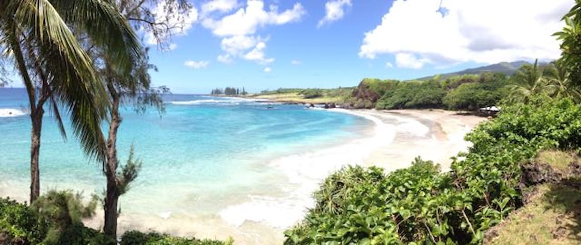 Lucy Fan Ohana - A Maui Gem!