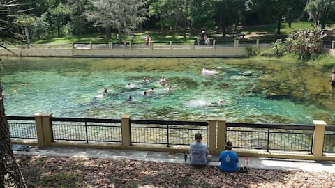 5 local springs, Gated Resort in Ocala Forest