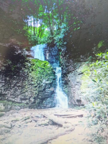Guest favorite listing in Johnson City