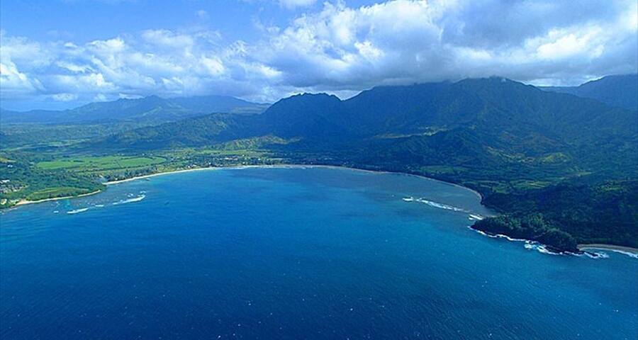 Charming and Immaculate – Close to Beach/Town gallery image 2