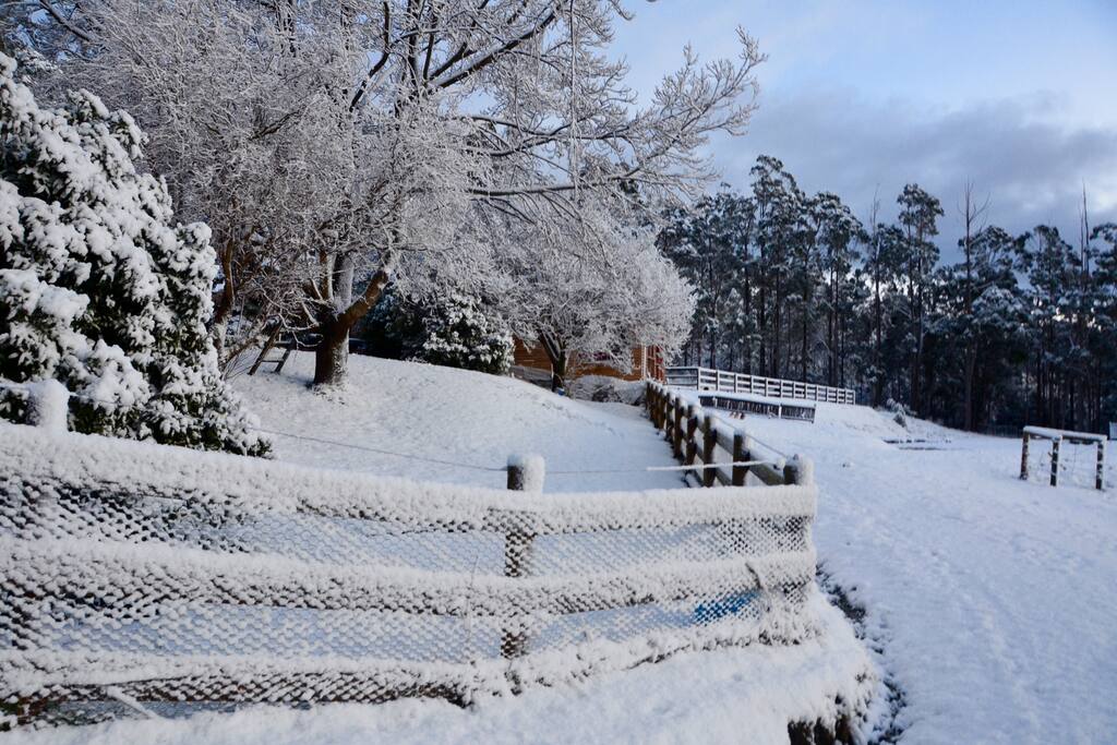 Lots of snow this year .. if we get any at all it is usually in August