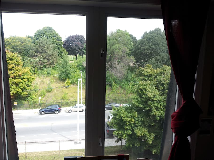 View from bedroom facing Earlscourt Park!