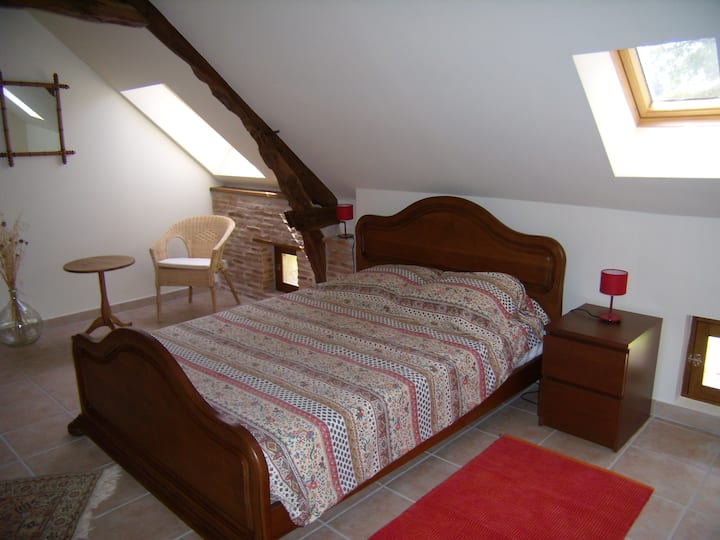 Miestnosť na holuby