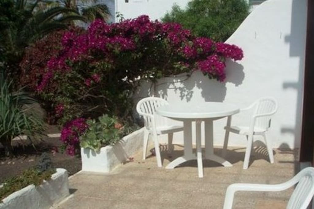 Breakfast table beneath the beautiful bougainvillea