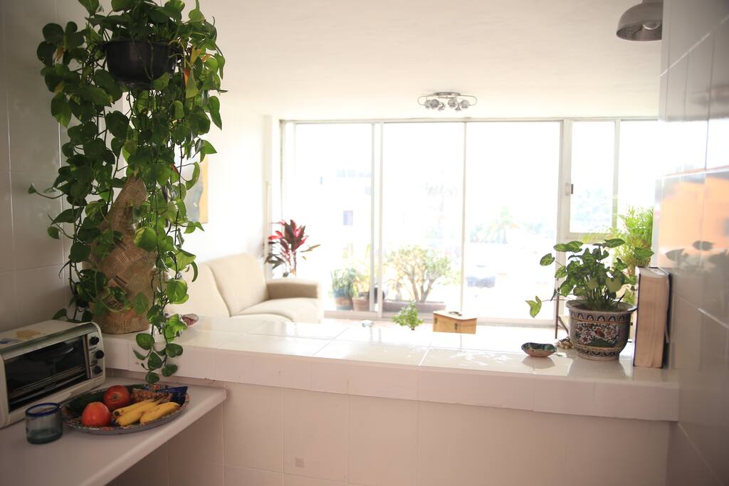White/Kitchen