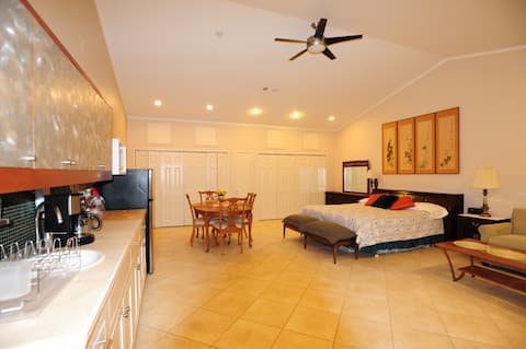 Very  large studio with courtyard