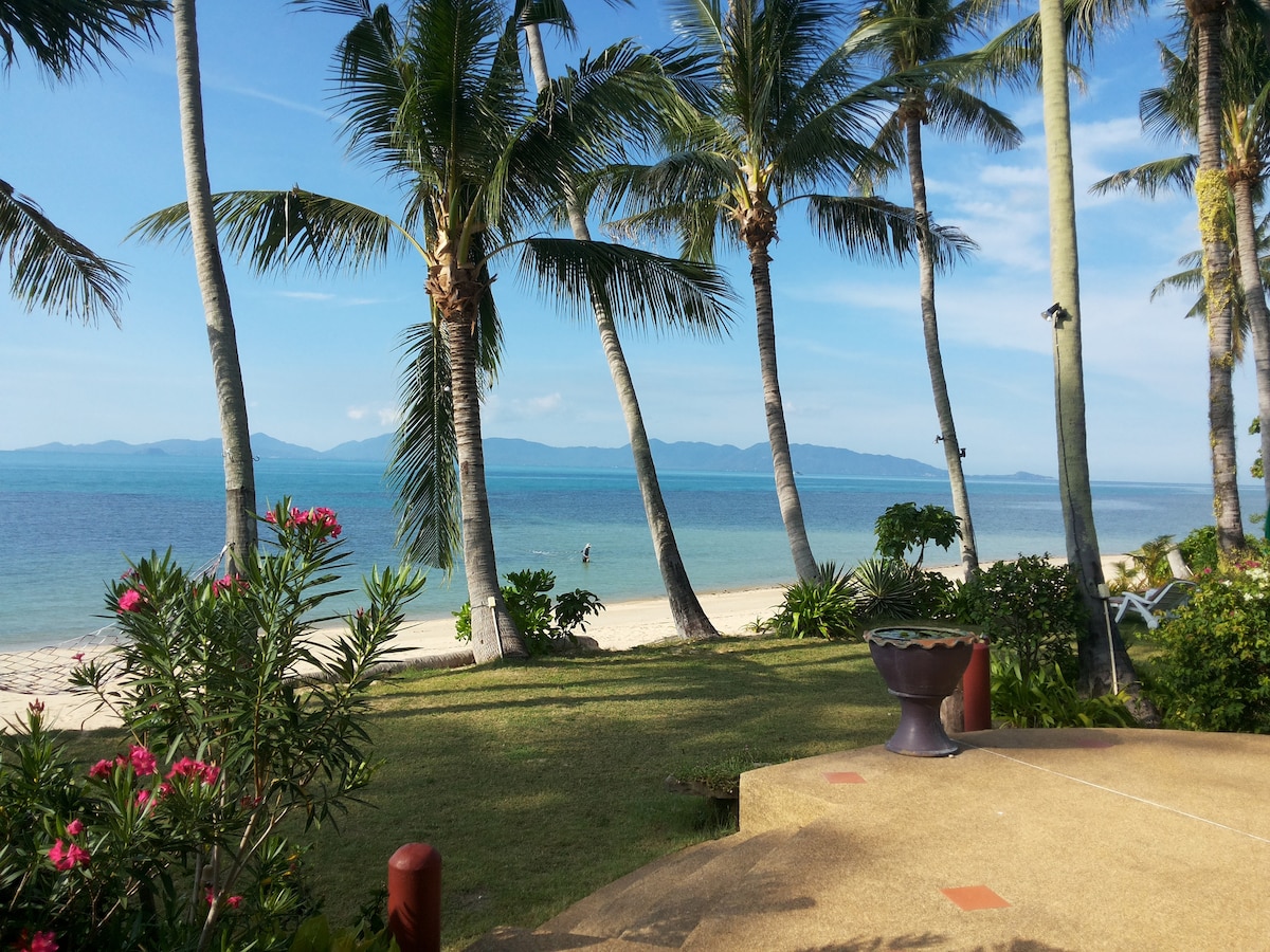 Lush palm trees frame a peaceful view of the beach and turquoise waters. In the distance, faint outlines of nearby islands can be seen, complementing the serene landscape. The sandy coastline leads to gently lapping waves, evoking a sense of tranquility.