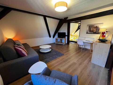 Top Airbnb: Studio Suzel in the heart of Riquewihr with Parking à Riquewihr