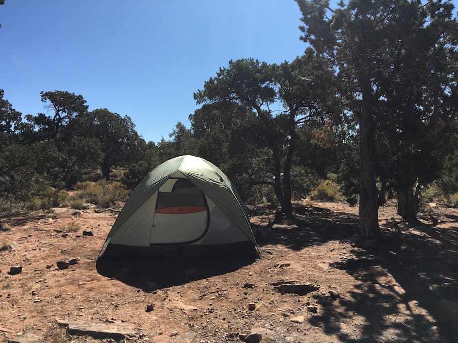 Typical Grand Canyon campsite surroundings