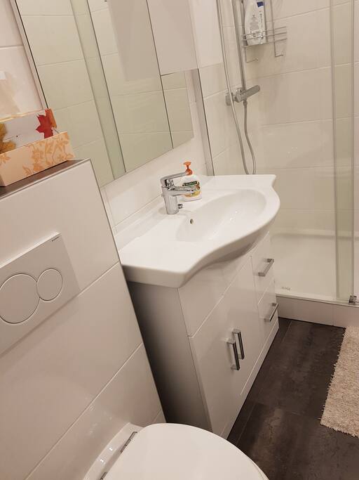 WC mit Dusche - Bathroom with Shower