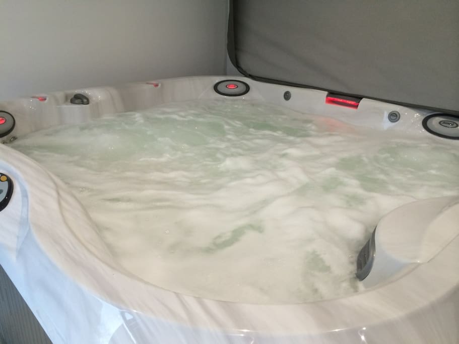 un jacuzzi de marque "jacuzzi", 1500 litres de bonheur