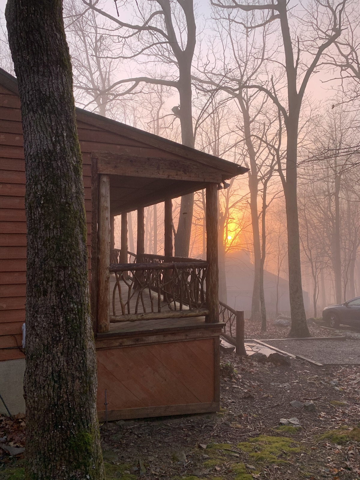 A rustic cabin is nestled among tall trees, with a wooden porch featuring natural wooden railings. The sun is seen setting through a light mist, casting a warm glow, while a gravel path leads to the driveway visible in the background.