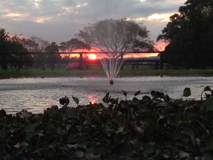 Nowra Holiday Rentals & Homes New South Wales, Australia Airbnb