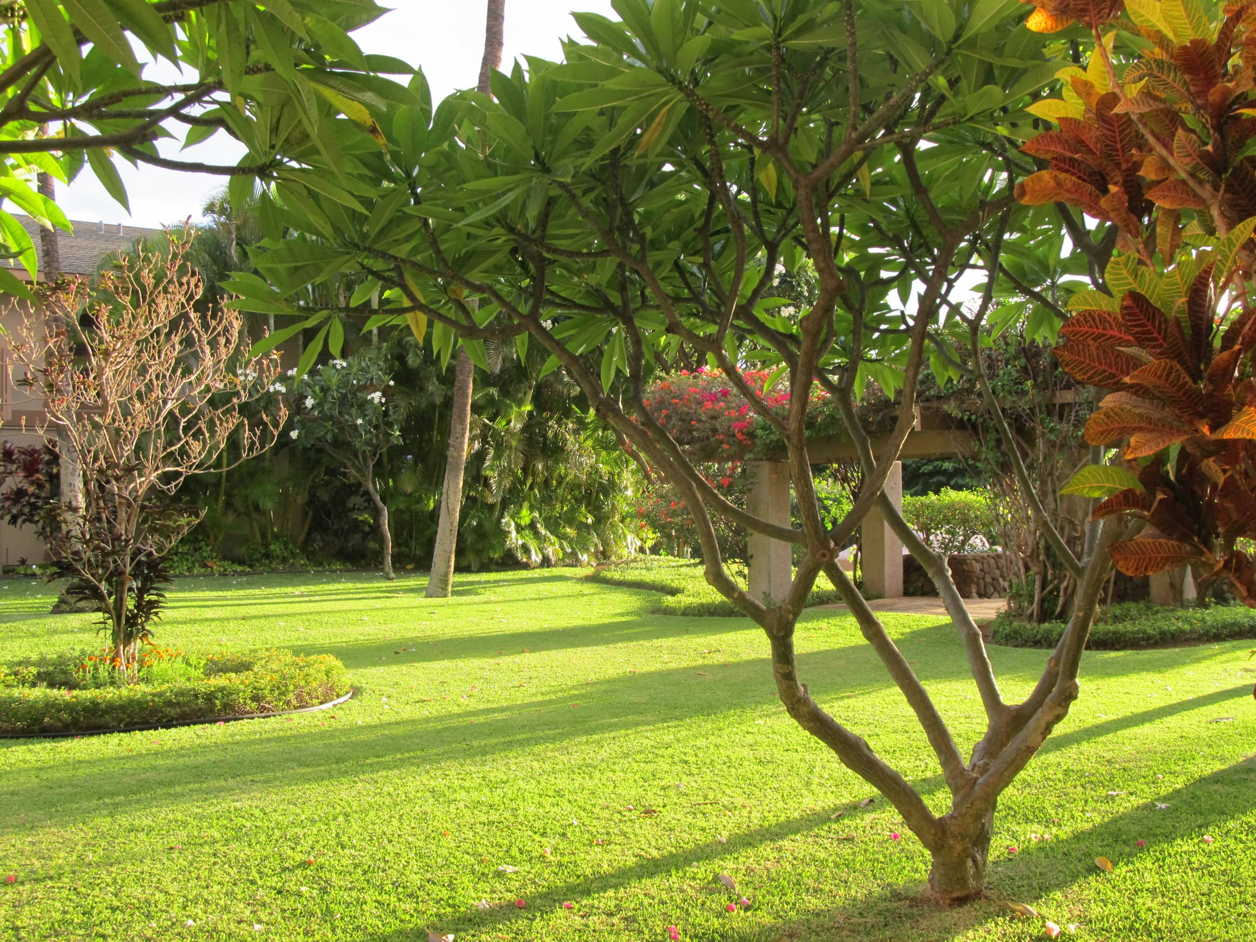 Entire rental unit in Maui Keawakapu - Image 16