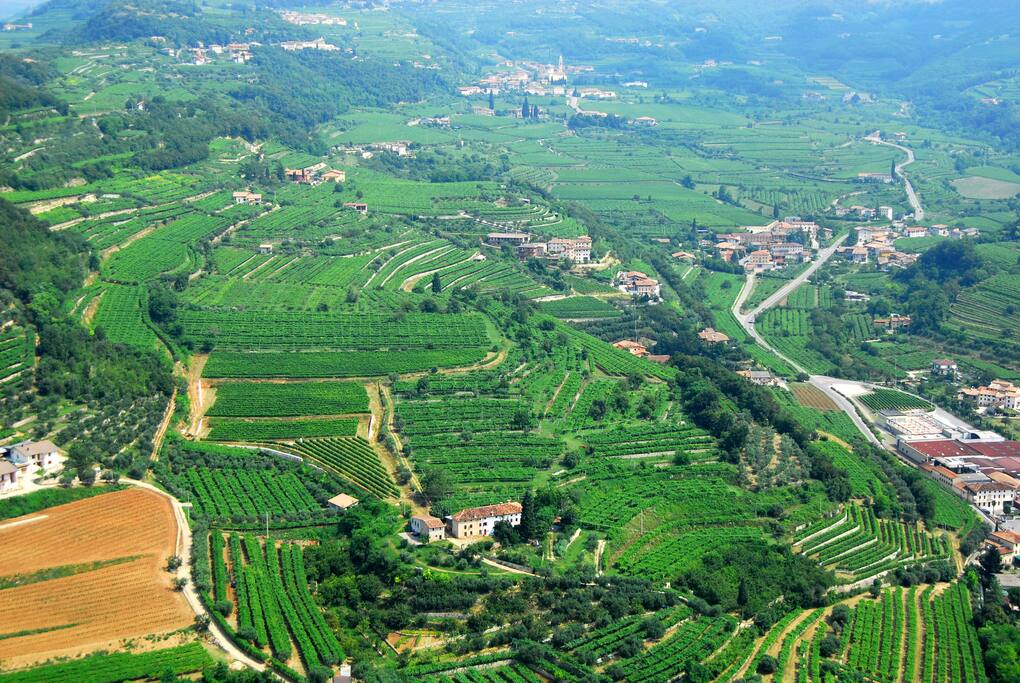 Panoramica Valpolicella