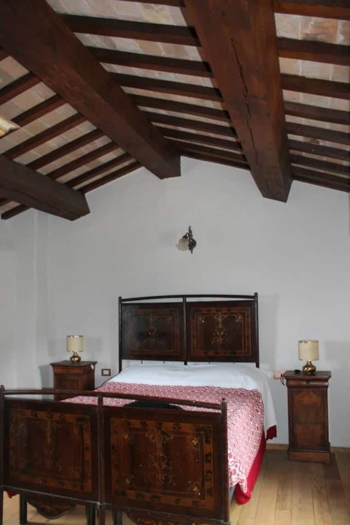 Habitación 1
