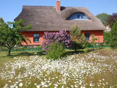 Top Airbnb: Vacation apartment in "Haus Helene" in Wustrow