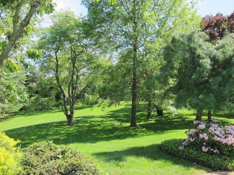 2 Acre Garden with Gorgeous Trees & Beautiful Landscaping